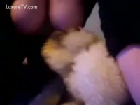 [ Animal XXX and Beastialty Sex ] whore caressing with soft toys